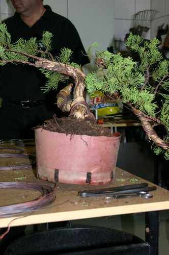 07 - kolejna fotka pokazujÂąca ostre giĂŞcie.JPG