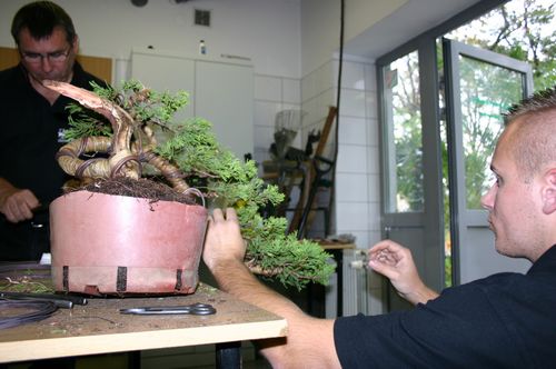 12 - drutowanie odstajÂących i maÂłych gaÂłazek i ukÂładanie na bierzÂąco.JPG