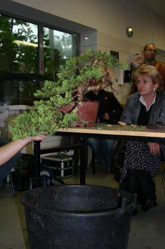 13 efekt koĂącowy.JPG