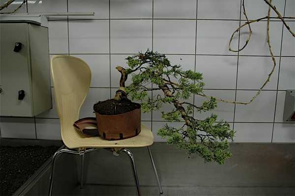 15 - jak wyÂżej.jpg